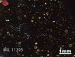 Thin Section Photo of Sample MIL 11293 in Cross-Polarized Light with 1.25x Magnification