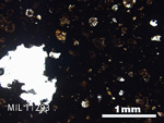 Thin Section Photo of Sample MIL 11293 in Plane-Polarized Light with 2.5x Magnification