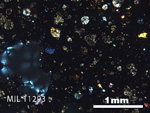 Thin Section Photo of Sample MIL 11293 in Cross-Polarized Light with 2.5x Magnification