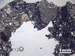 Thin Section Photo of Sample MIL 11294 in Plane-Polarized Light with 1.25X Magnification