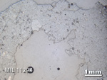 Thin Section Photo of Sample MIL 11294 in Reflected Light with 1.25X Magnification