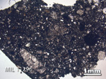 Thin Section Photo of Sample MIL 11296 in Plane-Polarized Light with 1.25X Magnification