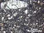 Thin Section Photo of Sample MIL 11296 in Plane-Polarized Light with 2.5X Magnification