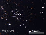 Thin Section Photo of Sample MIL 13005 in Plane-Polarized Light with 2.5X Magnification