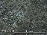 Thin Section Photo of Sample MIL 13005 in Reflected Light with 5X Magnification