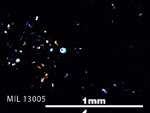 Thin Section Photo of Sample MIL 13005 in Cross-Polarized Light with 5X Magnification