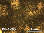 Thin Section Photo of Sample MIL 13032 in Reflected Light with 2.5X Magnification
