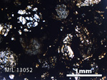 Thin Section Photo of Sample MIL 13052 in Plane-Polarized Light with 2.5X Magnification