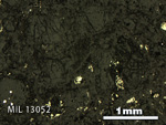 Thin Section Photo of Sample MIL 13052 in Reflected Light with 2.5X Magnification