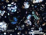 Thin Section Photo of Sample MIL 13052 in Cross-Polarized Light with 2.5X Magnification