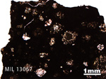 Thin Section Photo of Sample MIL 13067 in Plane-Polarized Light with 1.25X Magnification