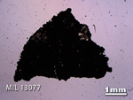 Thin Section Photo of Sample MIL 13077 in Plane-Polarized Light with 1.25X Magnification