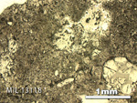 Thin Section Photo of Sample MIL 13118 in Reflected Light with 2.5X Magnification