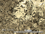 Thin Section Photo of Sample MIL 13118 in Reflected Light with 5X Magnification
