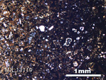 Thin Section Photo of Sample MIL 13119 in Plane-Polarized Light with 2.5X Magnification