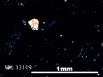 Thin Section Photo of Sample MIL 13119 in Cross-Polarized Light with 5X Magnification