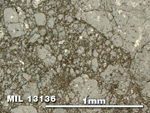 Thin Section Photo of Sample MIL 13136 in Reflected Light with 5X Magnification