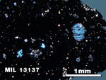 Thin Section Photo of Sample MIL 13137 in Cross-Polarized Light with 2.5X Magnification