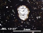 Thin Section Photo of Sample MIL 13137 in Plane-Polarized Light with 5X Magnification