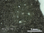 Thin Section Photo of Sample MIL 13139 in Reflected Light with 2.5X Magnification