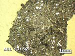 Thin Section Photo of Sample MIL 13152 in Reflected Light with 1.25X Magnification