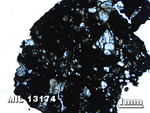 Thin Section Photo of Sample MIL 13174 in Plane-Polarized Light with 1.25X Magnification