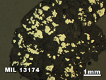 Thin Section Photo of Sample MIL 13174 in Reflected Light with 1.25X Magnification