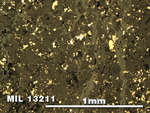 Thin Section Photo of Sample MIL 13211 in Reflected Light with 5X Magnification