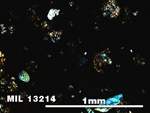 Thin Section Photo of Sample MIL 13214 in Cross-Polarized Light with 5X Magnification