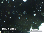 Thin Section Photo of Sample MIL 13269 in Plane-Polarized Light with 2.5X Magnification
