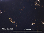 Thin Section Photo of Sample MIL 13285 in Plane-Polarized Light with 5X Magnification