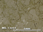 Thin Section Photo of Sample MIL 13315 in Reflected Light with 5X Magnification