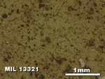 Thin Section Photo of Sample MIL 13321 in Reflected Light with 2.5X Magnification