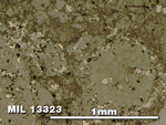 Thin Section Photo of Sample MIL 13323 in Reflected Light with 5X Magnification