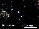 Thin Section Photo of Sample MIL 13324 in Cross-Polarized Light with 2.5X Magnification