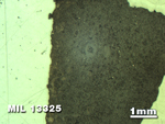 Thin Section Photo of Sample MIL 13325 in Reflected Light with 1.25X Magnification