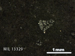 Thin Section Photo of Sample MIL 13329 in Reflected Light with 2.5X Magnification