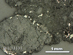 Thin Section Photo of Sample MIL 13331 in Reflected Light with 2.5X Magnification