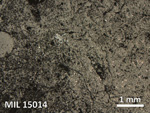 Thin Section Photo of Sample MIL 15014 in Reflected Light with 2.5X Magnification