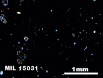Thin Section Photo of Sample MIL 15031 in Cross-Polarized Light with 2.5X Magnification