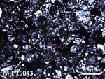 Thin Section Photo of Sample MIL 15043 in Plane-Polarized Light with 2.5X Magnification