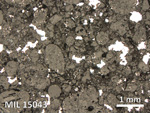 Thin Section Photo of Sample MIL 15043 in Reflected Light with 2.5X Magnification