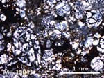 Thin Section Photo of Sample MIL 15043 in Plane-Polarized Light with 5X Magnification