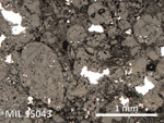 Thin Section Photo of Sample MIL 15043 in Reflected Light with 5X Magnification