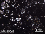 Thin Section Photo of Sample MIL 15046 in Plane-Polarized Light with 2.5X Magnification