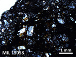 Thin Section Photo of Sample MIL 15058 in Plane-Polarized Light with 2.5X Magnification