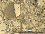 Thin Section Photo of Sample MIL 15080 in Reflected Light with 5X Magnification