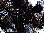 Thin Section Photo of Sample MIL 15181 in Plane-Polarized Light with 2.5X Magnification
