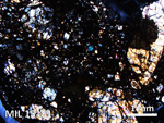 Thin Section Photo of Sample MIL 15181 in Cross-Polarized Light with 2.5X Magnification