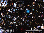 Thin Section Photo of Sample MIL 15181 in Cross-Polarized Light with 5X Magnification